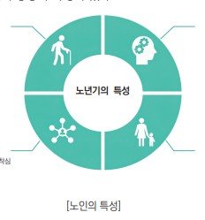 노년기의 신체적 특성